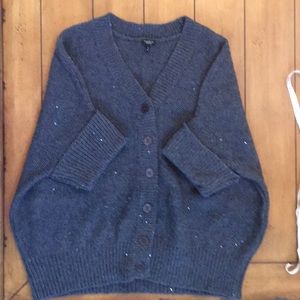 Talbots sparkle sweater.